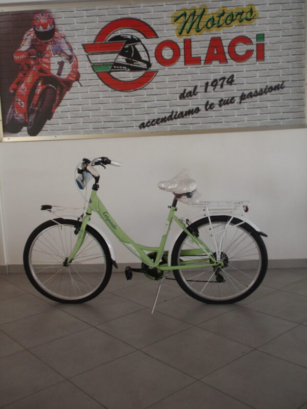 Bici Torpado Silver Life 26