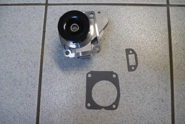 Pompa Acqua Piaggio 493169