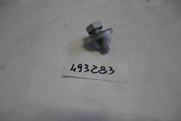 Vite Puleggia albero a camme Piaggio 493283