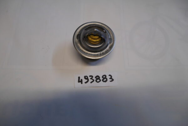 Termostato Acqua Quargo  Piaggio  493073